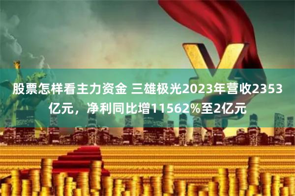 股票怎样看主力资金 三雄极光2023年营收2353亿元，净利同比增11562%至2亿元