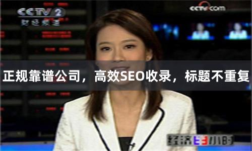 正规靠谱公司，高效SEO收录，标题不重复