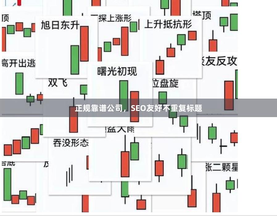 正规靠谱公司，SEO友好不重复标题