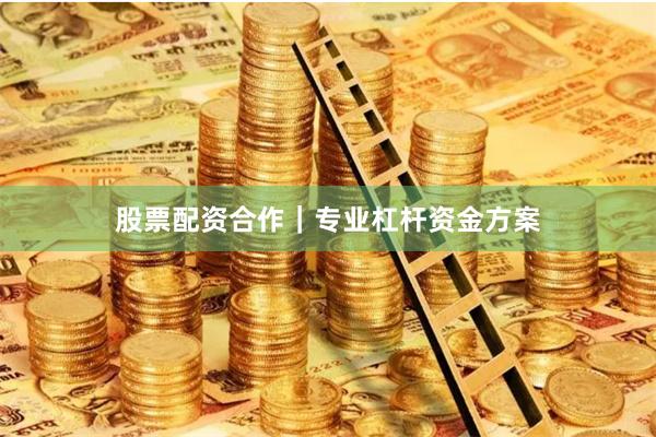 股票配资合作|专业杠杆资金方案